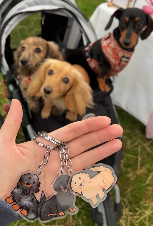 Dog Keyring - Long-Haired Dachshund
