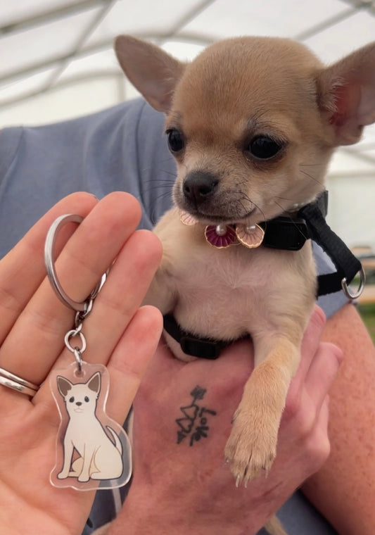 Dog Keyring - Short-haired Chihuahua