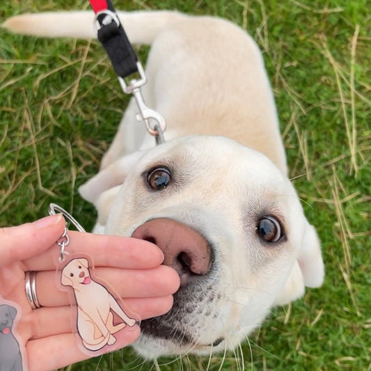 Dog Keyring - Labrador