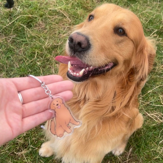 Dog Keyring - Retriever (Various Colours)