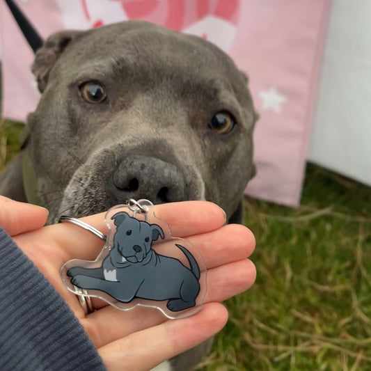 Dog Keyring - Staffordshire Bull Terrier / Staffy