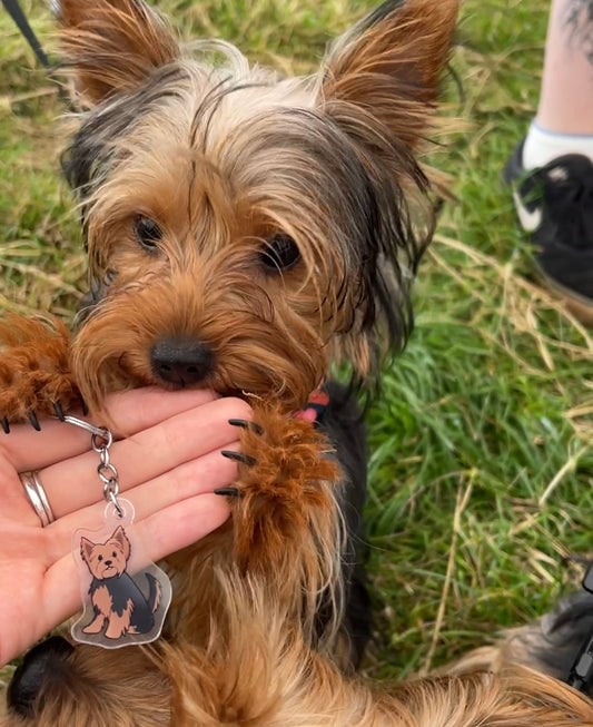 Dog Keyring - Yorkshire Terrier
