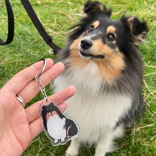 Dog Keyring - Rough Collie / Shetland Sheepdog / Sheltie