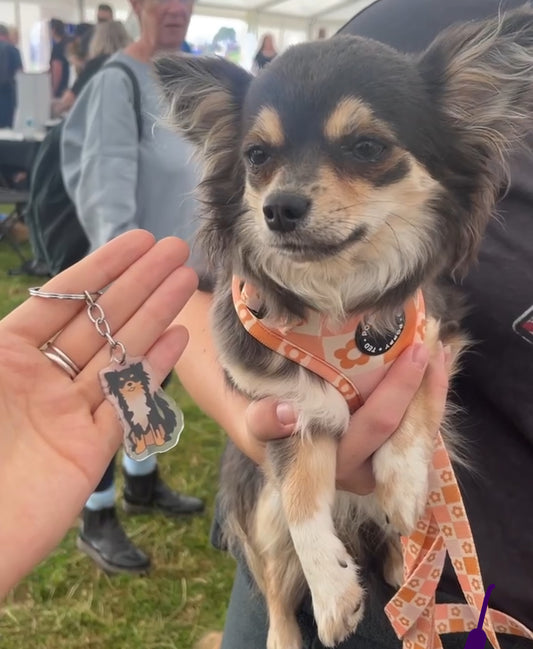 Dog Keyring - Chihuahua (Long-Haired)