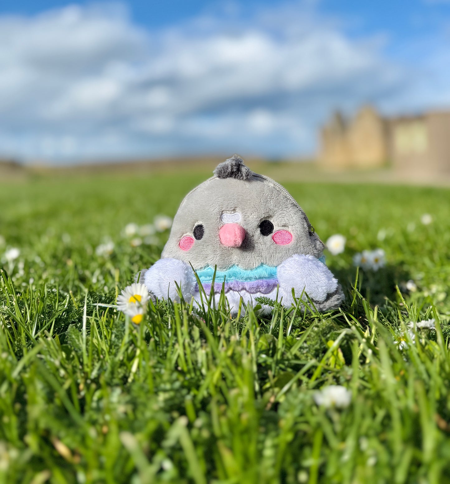 PJ the Pigeon Friend